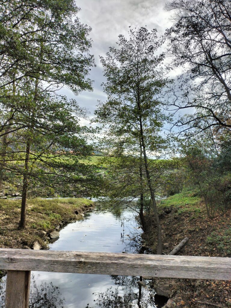 Rivière tranquille entourée d'arbres.