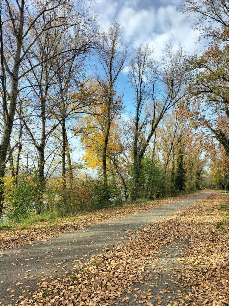 Via Rhôna entre Tournon-sur-Rhône et Saint-Rambert-d'Albon