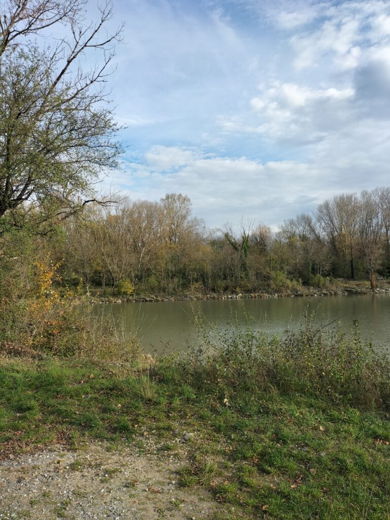 Rivière bordée d'arbres et de buissons