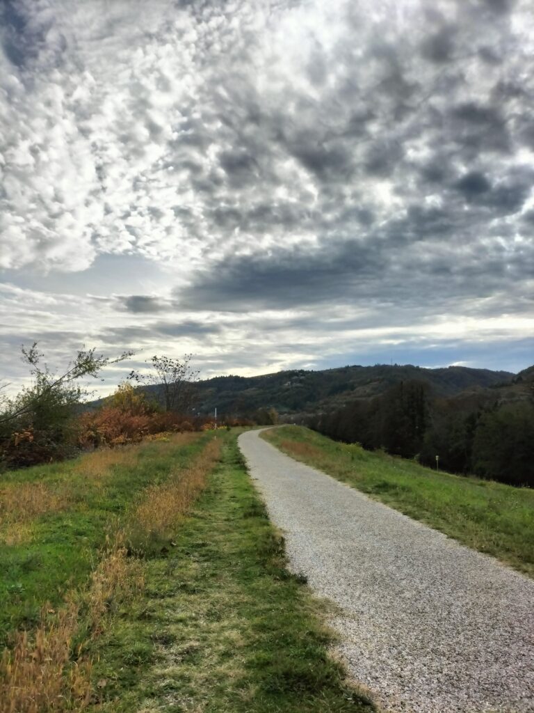 Chemin de la Via Rhôna bordé d'herbe, d'arbres et de buissons