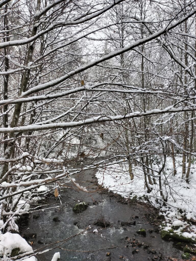 Ruisseau sous la neige en hiver