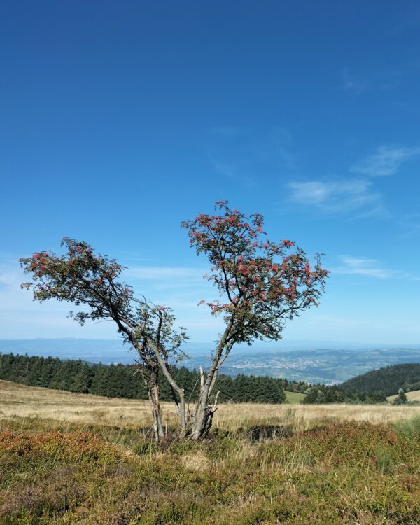 GPX - Tour des crêts du Pilat
