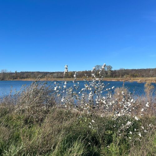 Tour du lac de Miribel GPX - Tour du lac de Miribel