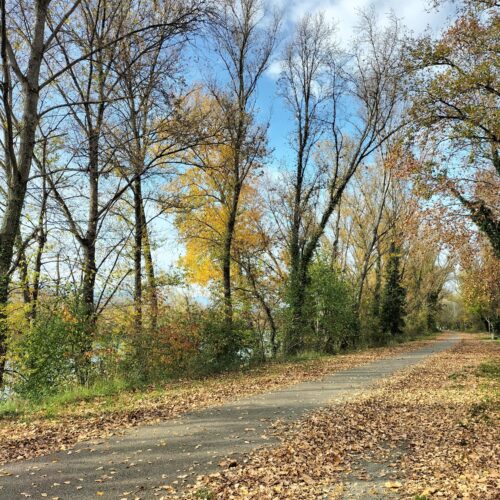 Tournon-sur-Rhône - Saint-Rambert-d'Albon GPX - Via Rhôna (Tournon-sur-Rhône - Saint-Rambert-d'Albon)