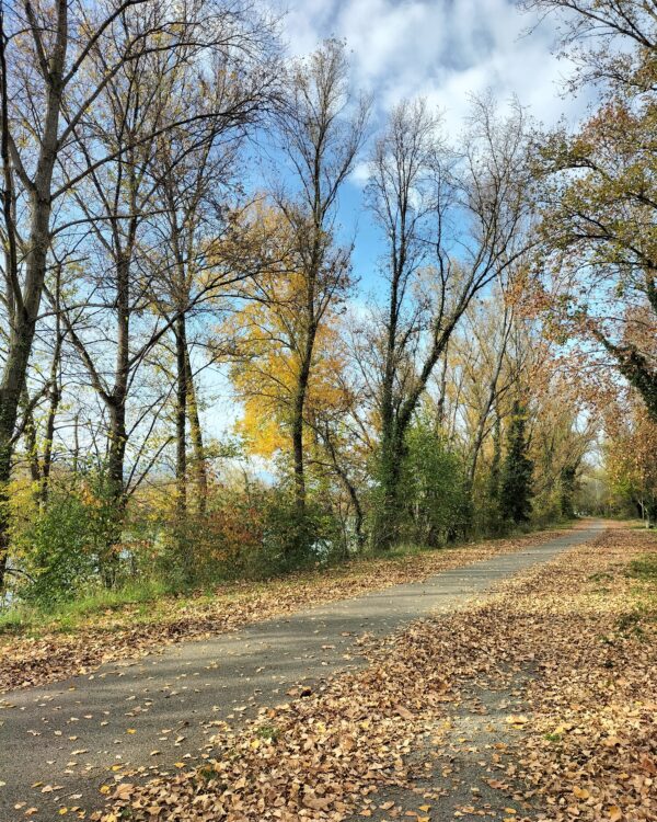 GPX - Via Rhôna (Tournon-sur-Rhône - Saint-Rambert-d'Albon)