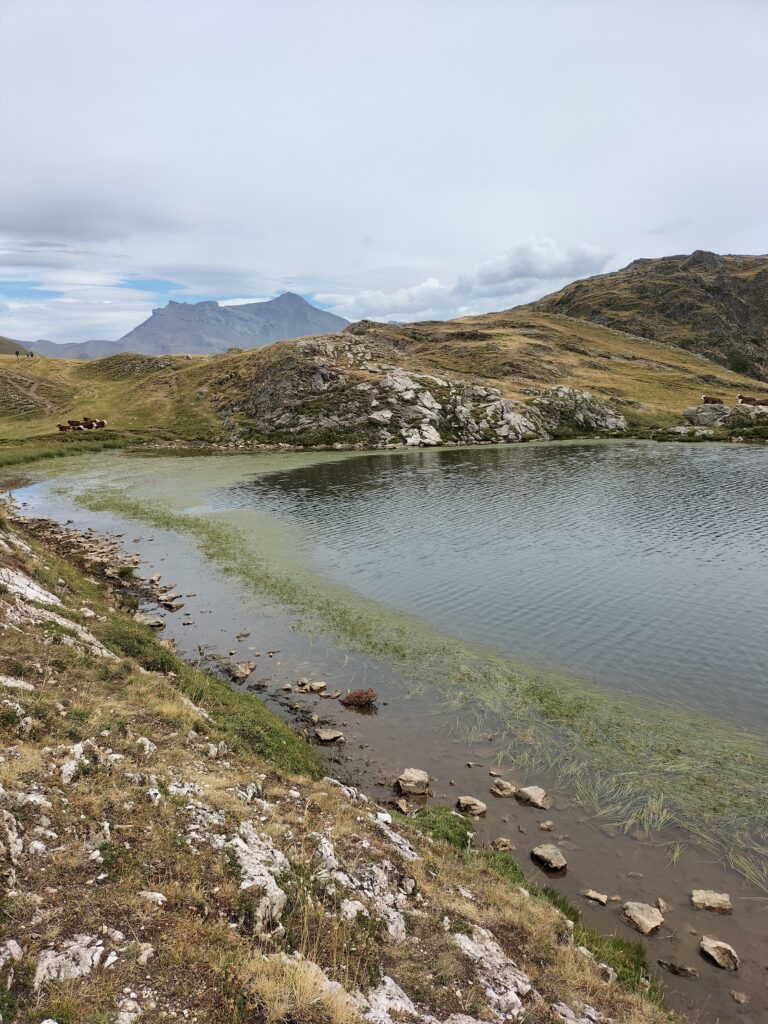 Lac Lérié et vue sur une montagne en arrière plan