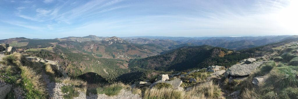 Vue au sommet du mont Gerbier de Jonc