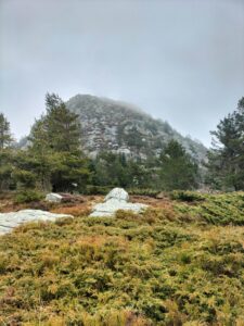 Mont Gerbier de Jonc, Ardèche