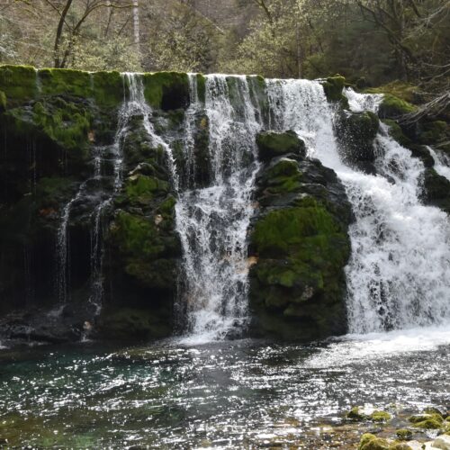 GPX - Izvir Bohinjske Bistrice