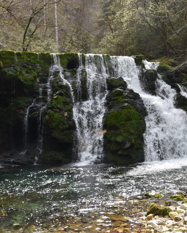 GPX - Izvir Bohinjske Bistrice