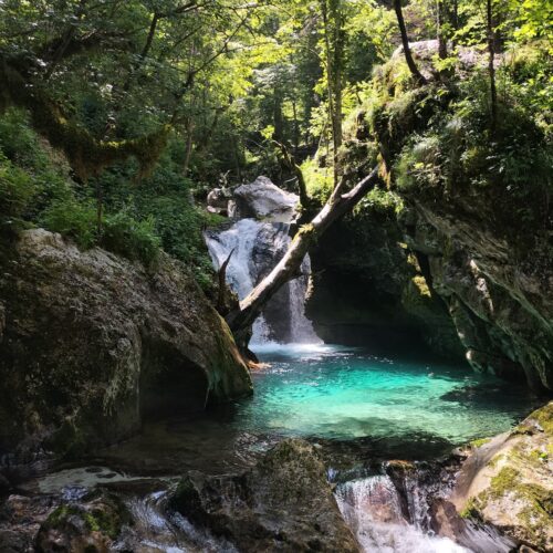 GPX - Sunikov vodni gaj