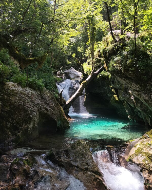 GPX - Sunikov vodni gaj