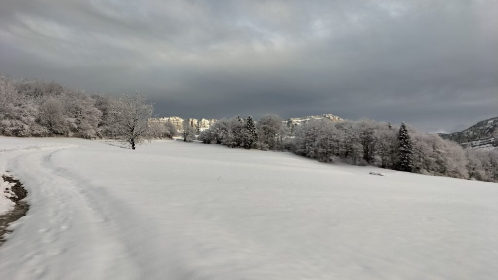 Désert d'Entremont, massif de la Chartreuse, France