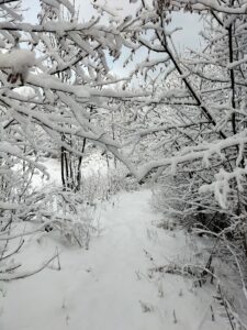 Désert d'Entremont, massif de la Chartreuse, France
