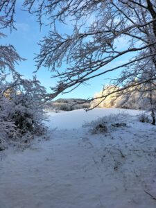 Désert d'Entremont, massif de la Chartreuse, France