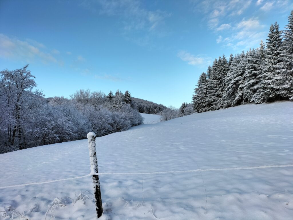 Désert d'Entremont, massif de la Chartreuse, France