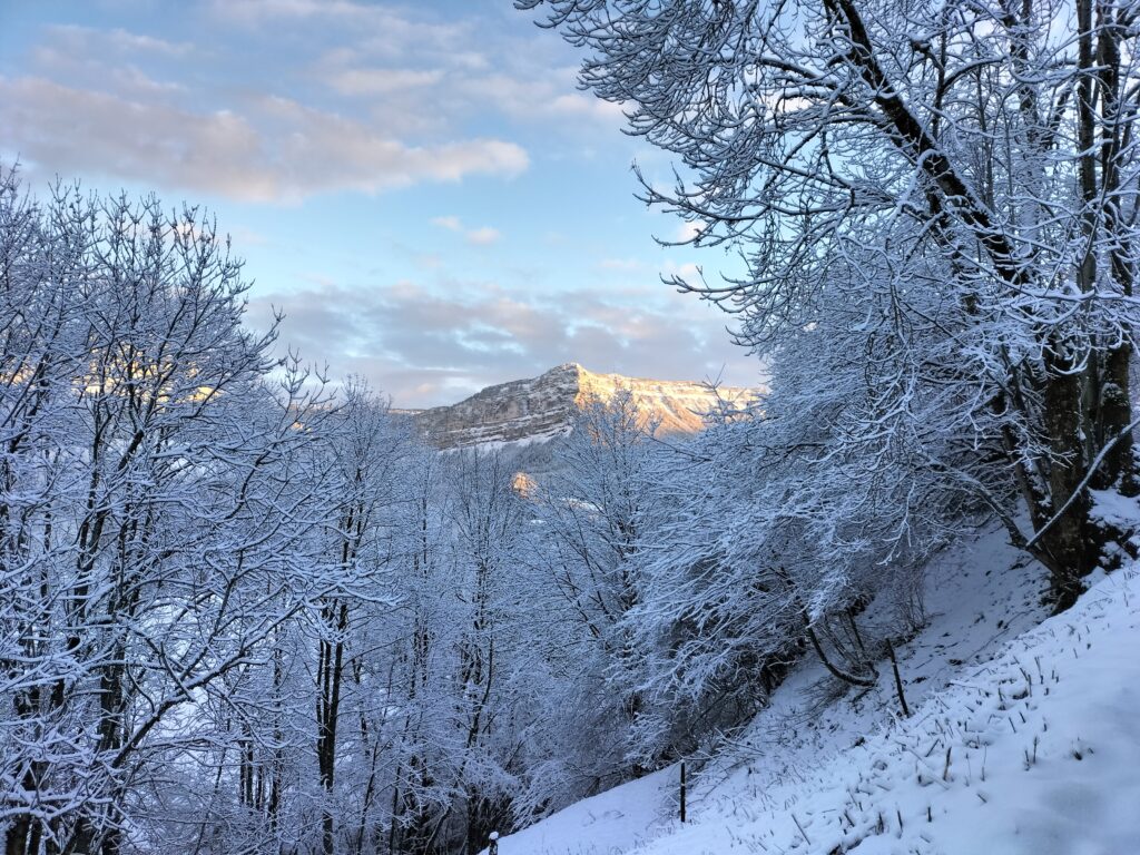 Désert d'Entremont, massif de la Chartreuse, France