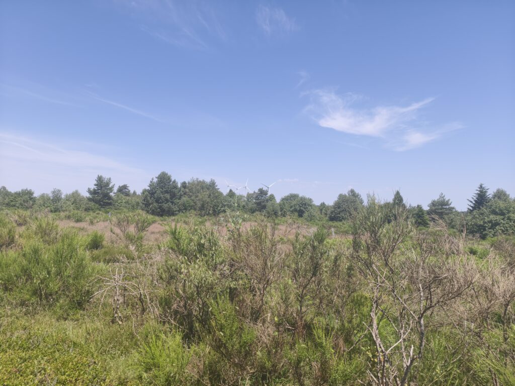 Plateau de la Verrerie (Allier)
