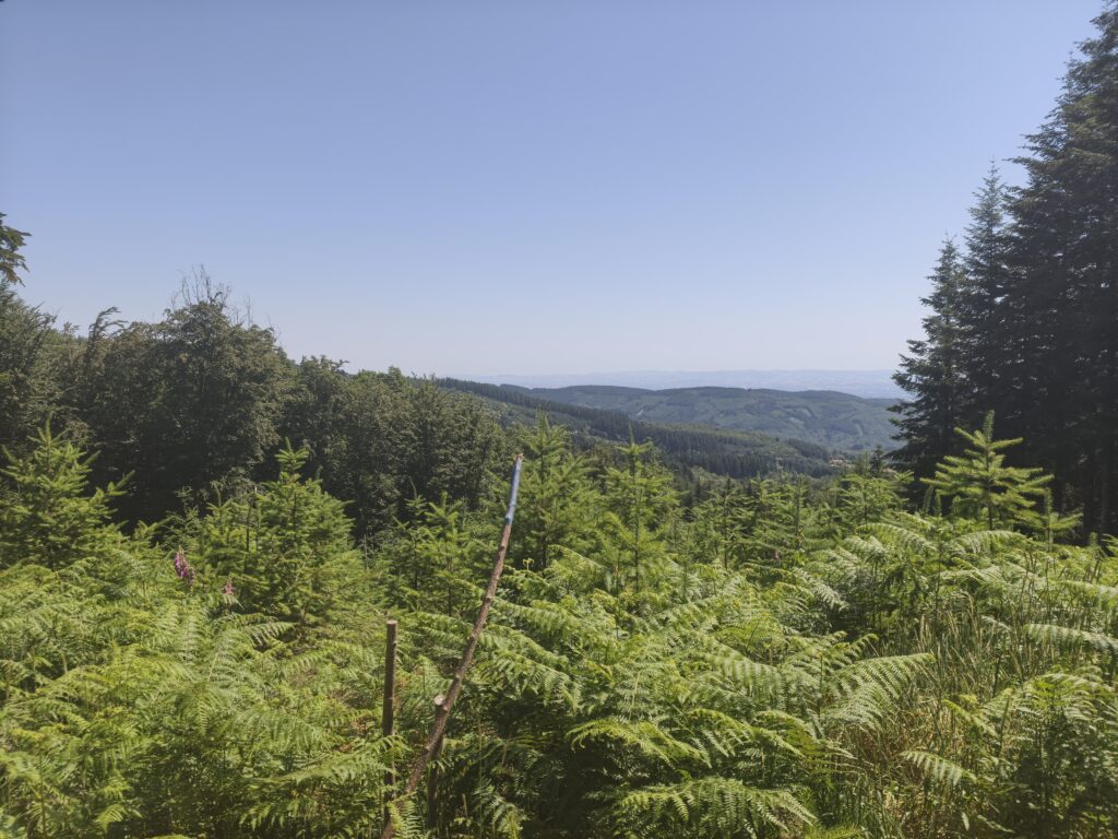 Plateau de la Verrerie (Allier)