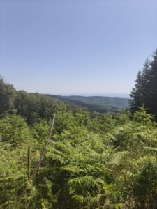 Plateau de la Verrerie (Allier)