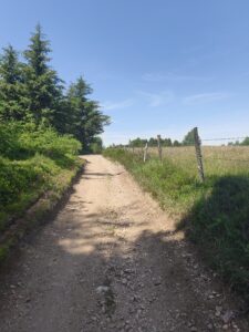 Plateau de la Verrerie (Allier)