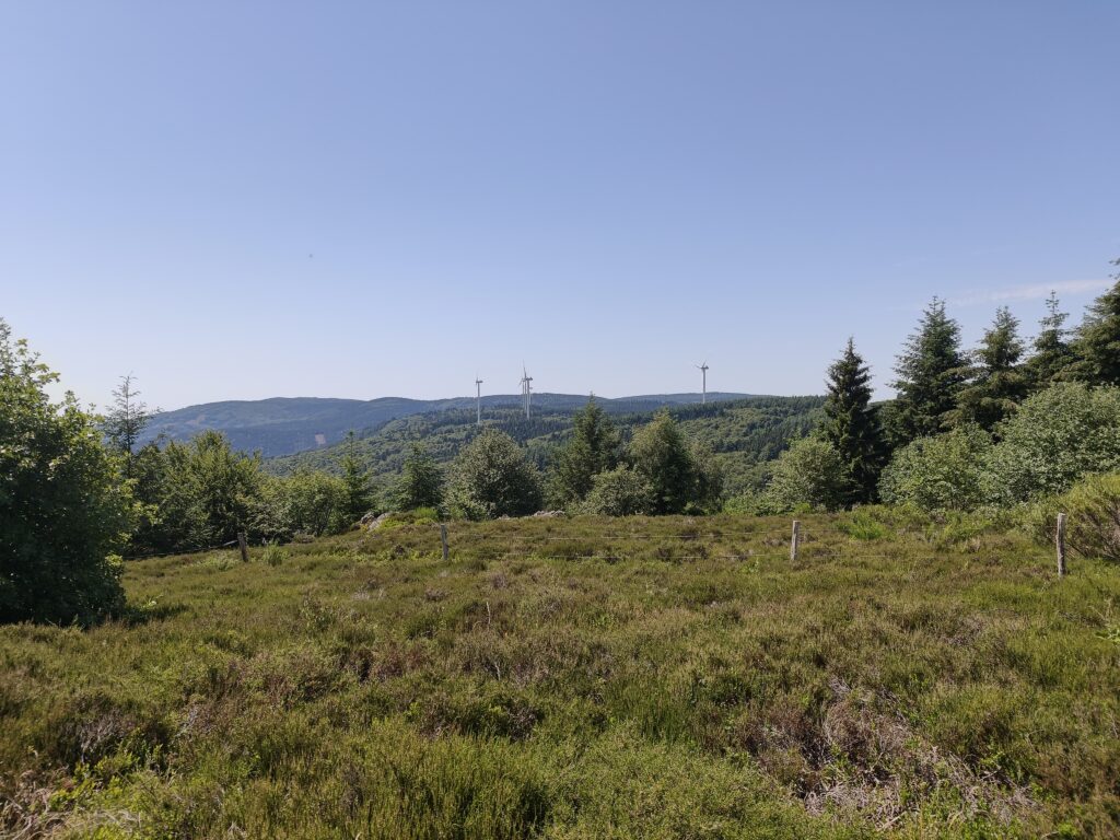 Plateau de la Verrerie (Allier)