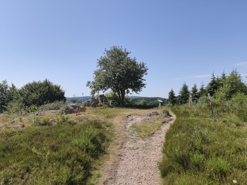 Plateau de la Verrerie (Allier)