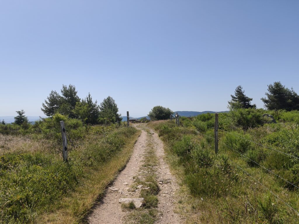 Plateau de la Verrerie (Allier)