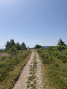 Plateau de la Verrerie (Allier)