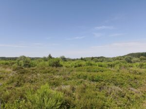 Plateau de la Verrerie (Allier)