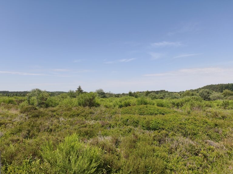 Plateau de la Verrerie (Allier)