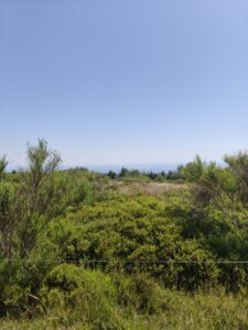 Plateau de la Verrerie (Allier)