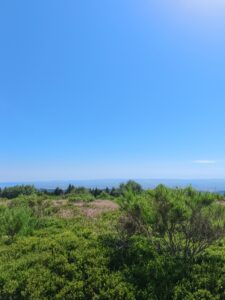 Plateau de la Verrerie (Allier)