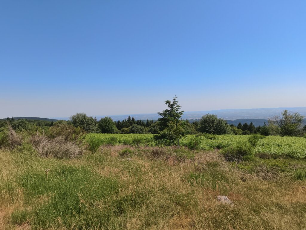 Plateau de la Verrerie (Allier)