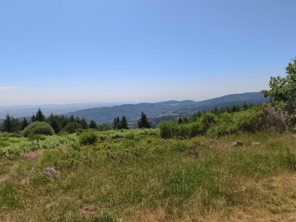 Plateau de la Verrerie (Allier)