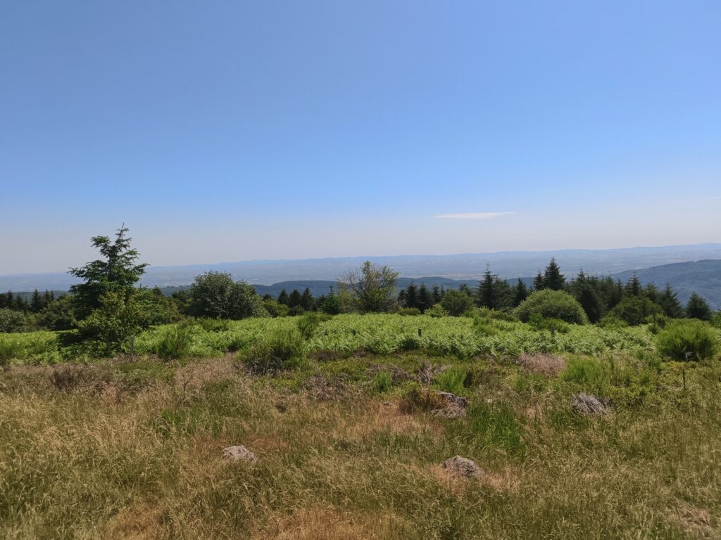 Plateau de la Verrerie (Allier)