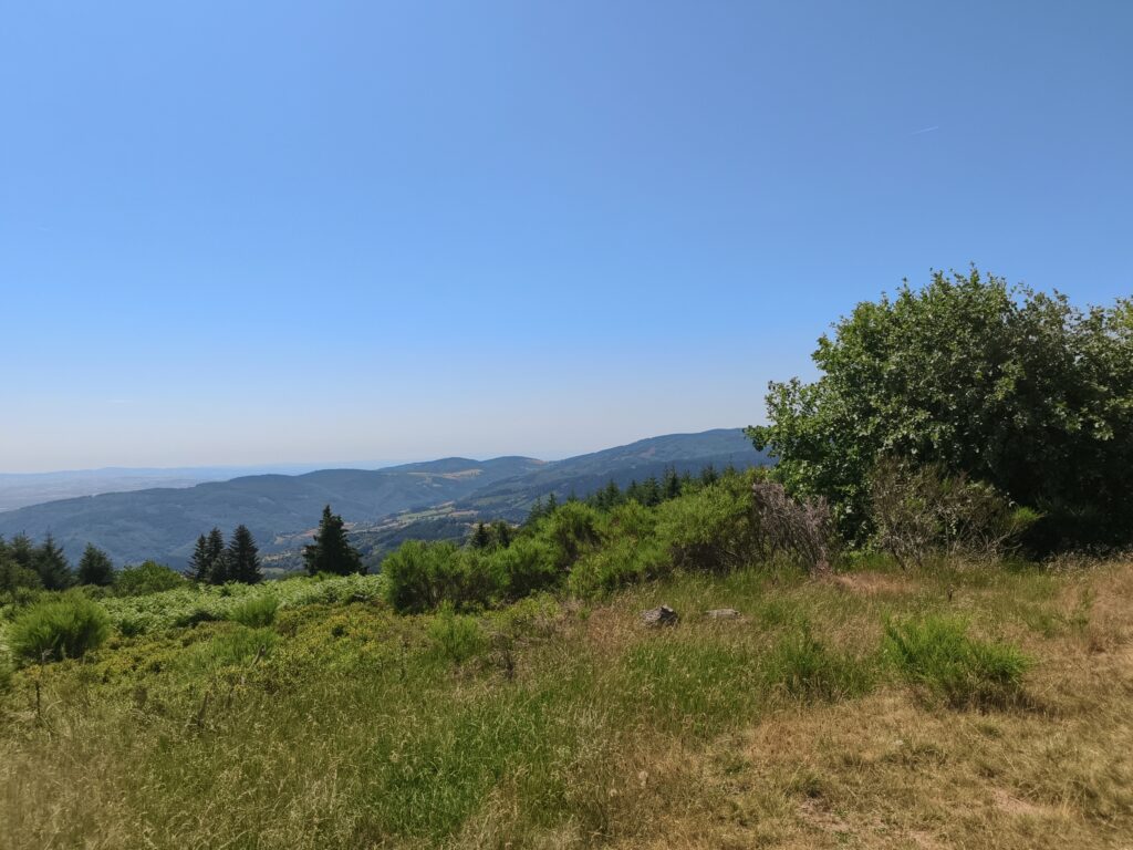 Plateau de la Verrerie (Allier)