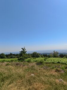 Plateau de la Verrerie (Allier)
