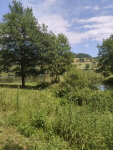 Lac de Saint-Clément