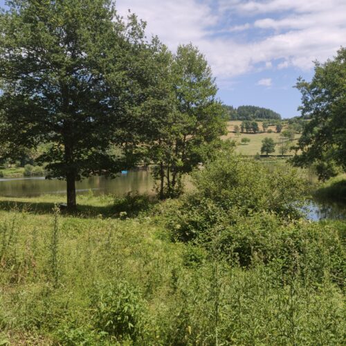 Lac de Saint-Clément