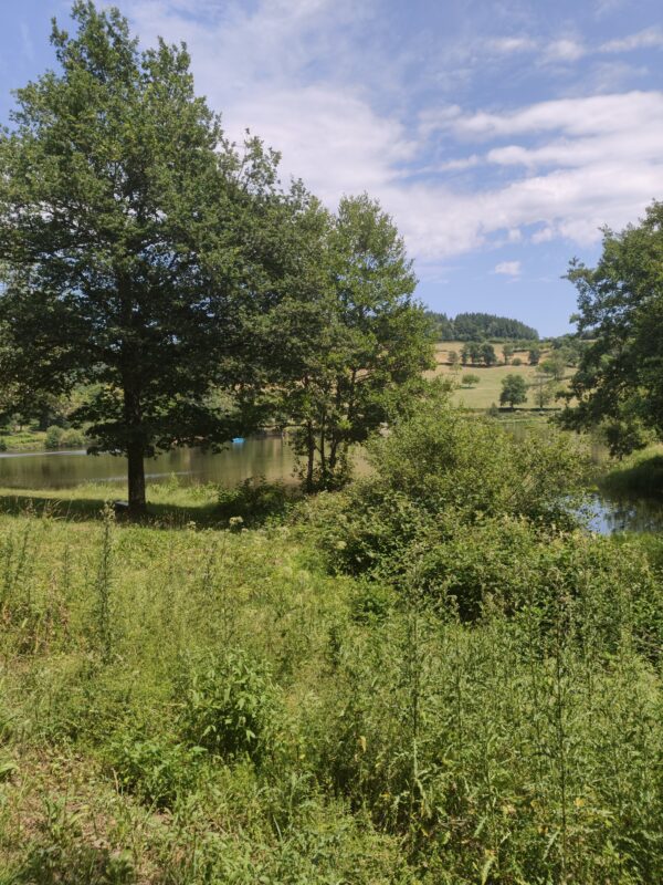 Lac de Saint-Clément