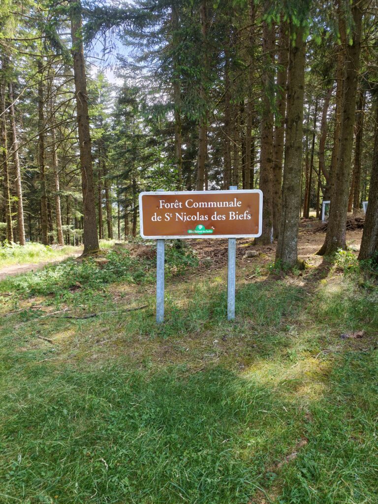 Circuit de Pierre Châtel et allée des hêtres tortueux, Saint-Nicolas-des-Biefs