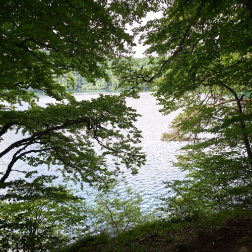 Tour du lac Pavin