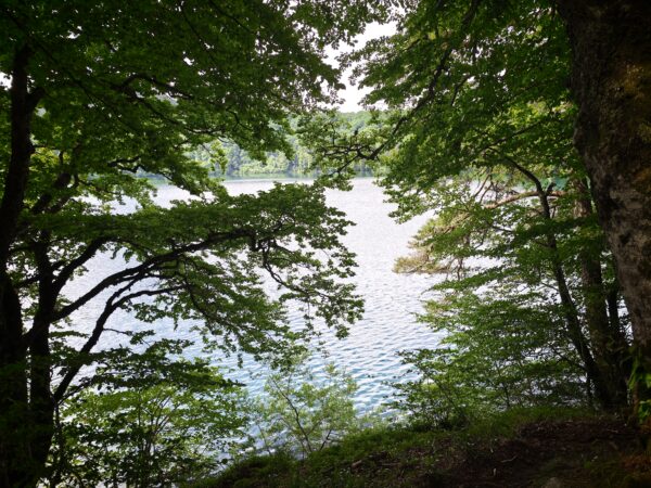 Tour du lac Pavin
