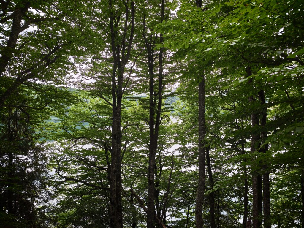 Tour du lac Pavin