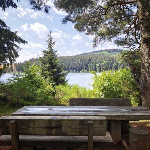 Tour du lac de Servières