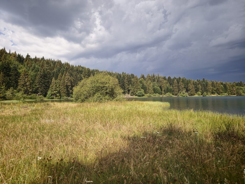 Tour du lac de Servières